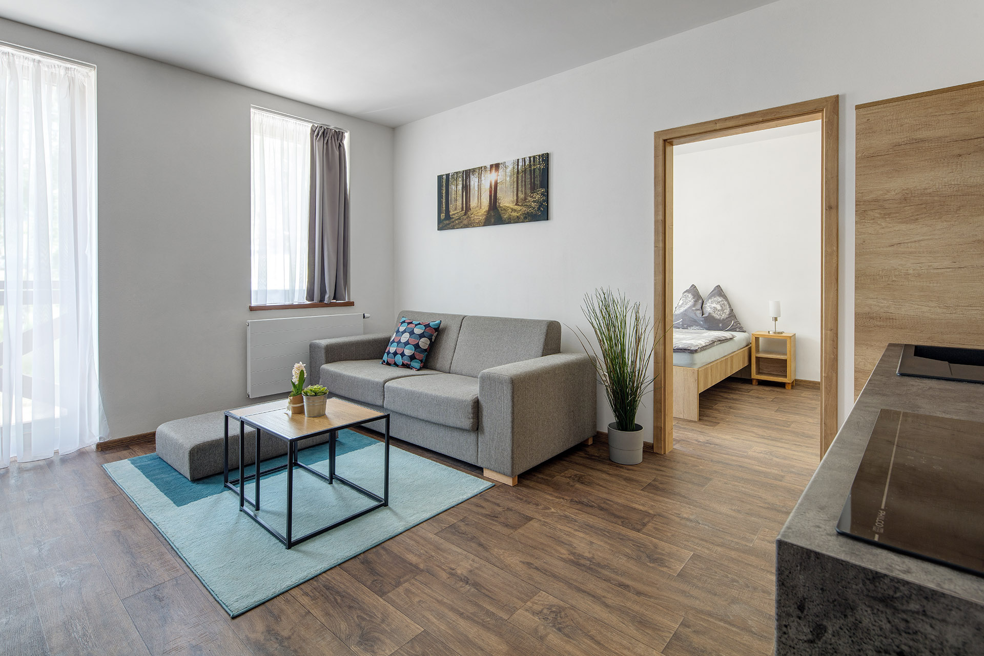 Apartmán 1 ložnice